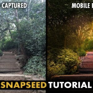 Make Images Look DRAMATIC in SNAPSEED | SNAPSEED TUTORIAL | Android | iPhone