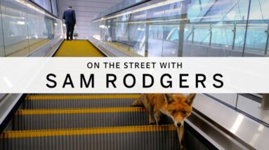 ON THE STREET WITH [003] : Sam Rodgers
