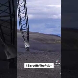 #photography #iceland #funny